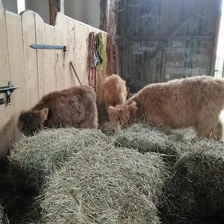 בית חווה Jaworowa Zagroda