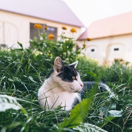 农家乐 Jaworowa Zagroda *