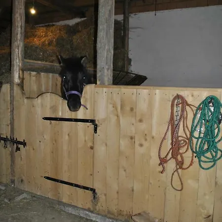 农家乐 Jaworowa Zagroda Domaszkow