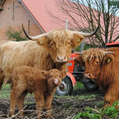 Jaworowa Zagroda 农家乐 Domaszkow