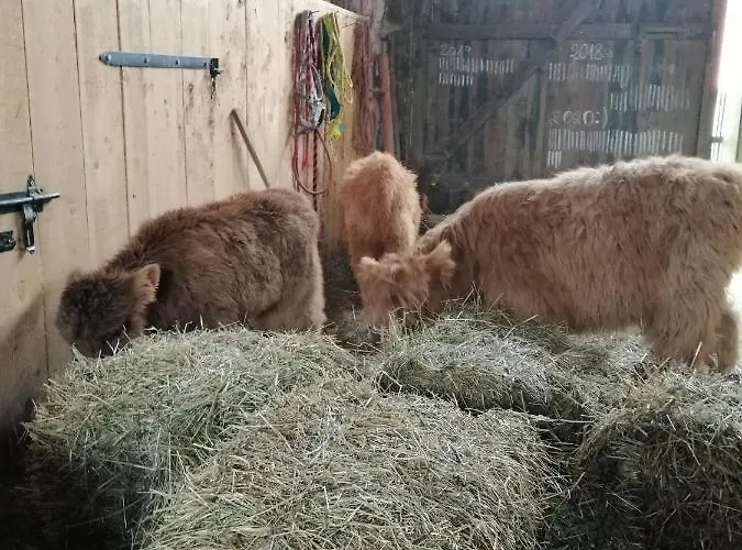 Bauernhof Jaworowa Zagroda