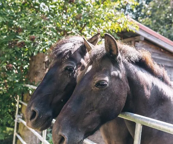Vakantieboerderij Jaworowa Zagroda Domaszkow