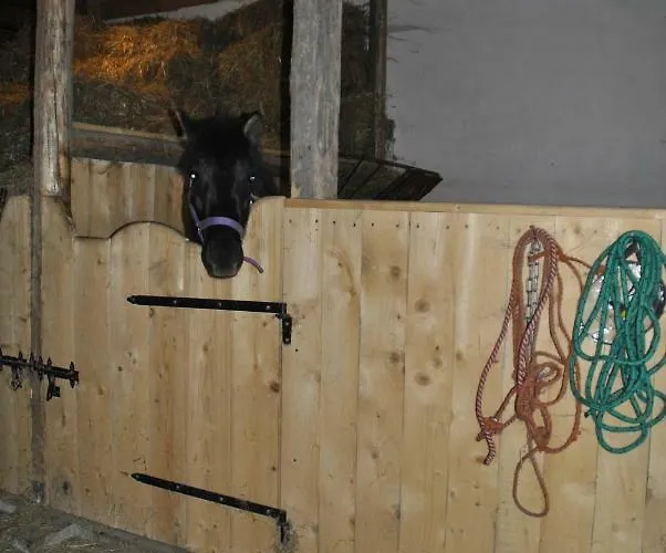 Bauernhof Jaworowa Zagroda Domaszkow